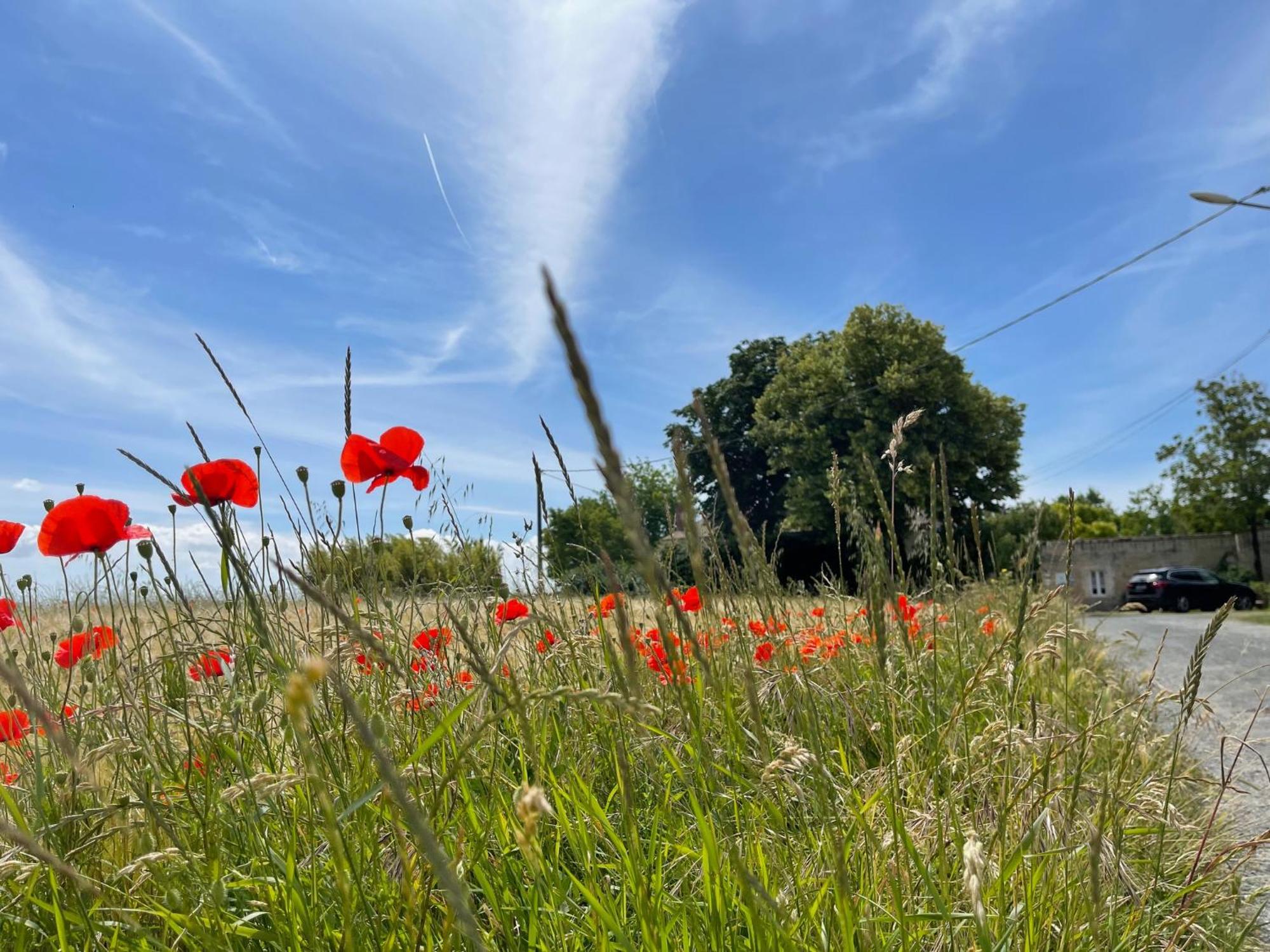 Dompierre-sur-Mer Logis Saint Leonard Bed & Breakfast エクステリア 写真